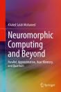 Neuromorphic Computing And Beyond - Preview
