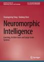 Neuromorphic Intelligence - Preview