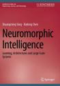 Neuromorphic Intelligence - Preview