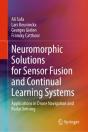 Neuromorphic Solutions For Sensor Fusion And Continual Learning Systems - Preview