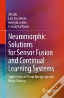 Neuromorphic Solutions For Sensor Fusion And Continual Learning Systems