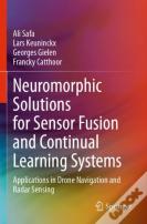 Neuromorphic Solutions For Sensor Fusion And Continual Learning Systems