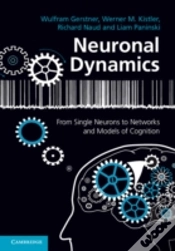 Capa do artigo Neuronal Dynamics