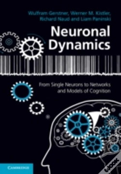 Capa do artigo Neuronal Dynamics