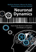 Neuronal Dynamics