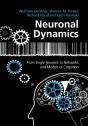 Neuronal Dynamics - Preview