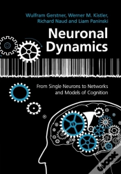 Capa do artigo Neuronal Dynamics
