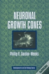 Neuronal Growth Cones