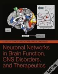 Neuronal Networks In Brain Function, Cns Disorders, And Therapeutics