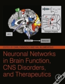 Capa do artigo Neuronal Networks In Brain Function, Cns Disorders, And Therapeutics