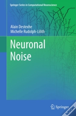 Capa do artigo Neuronal Noise