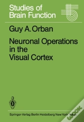 Neuronal Operations In The Visual Cortex