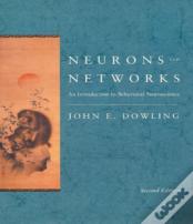 Neurons And Networks