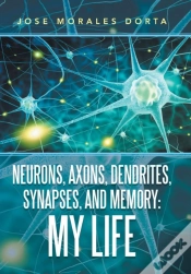 Capa do artigo Neurons, Axons, Dendrites, Synapses, And Memory