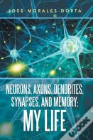 Neurons, Axons, Dendrites, Synapses, And Memory