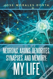 Capa do artigo Neurons, Axons, Dendrites, Synapses, And Memory