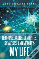 Neurons, Axons, Dendrites, Synapses, And Memory