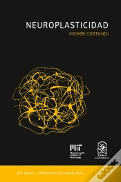 Capa do artigo Neuroplasticidad