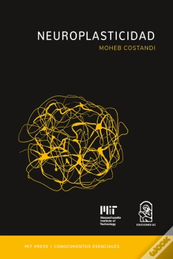 Capa do artigo Neuroplasticidad
