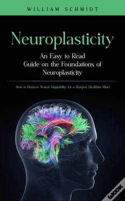 Capa do artigo Neuroplasticity: An Easy To Read Guide On The Foundations Of Neuroplasticity
