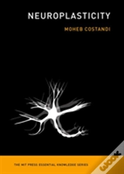 Capa do artigo Neuroplasticity