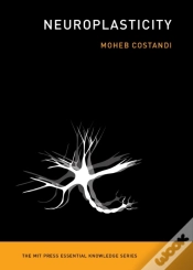 Capa do artigo Neuroplasticity