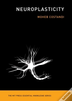 Capa do artigo Neuroplasticity