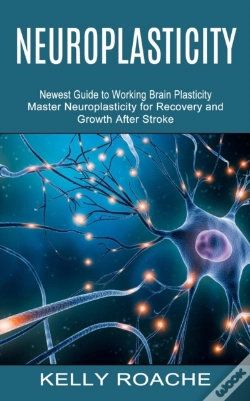 Capa do artigo Neuroplasticity: Newest Guide To Working