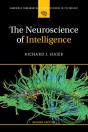 Neuroscience Of Intelligence - Preview