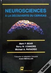 Capa do artigo Neurosciences A La Decouverte Du Cerveau