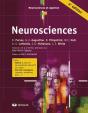 Neurosciences Et Sylvius 4 : Le Système Nerveux Humain - Preview