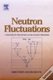 Capa do artigo Neutron Fluctuations