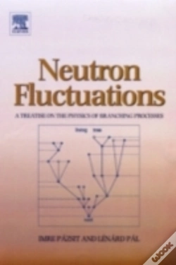 Capa do artigo Neutron Fluctuations