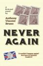 Never Again - Preview