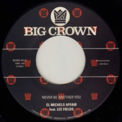 Capa do artigo Never Be Another You (Reggae Version) - Vinil