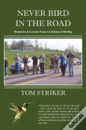 Never Bird In The Road