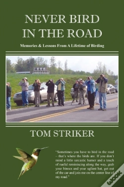 Capa do artigo Never Bird In The Road