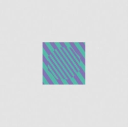 Capa do artigo Never Come Back (Four Tet & Morgan Geist Remixes) - Vinil
