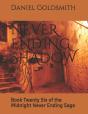 Never Ending Shadow - Preview