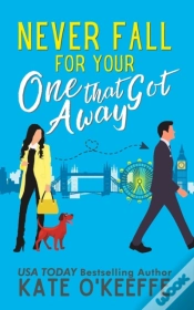 Capa do artigo Never Fall For Your One That Got Away