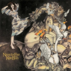 Capa do artigo Never for Ever - CD