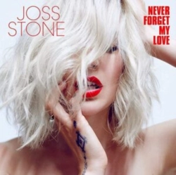 Capa do artigo Never Forget My Love - Vinil
