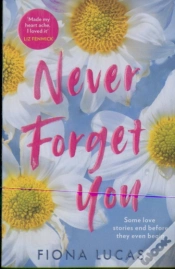 Capa do artigo Never Forget You