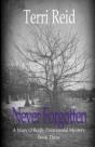 Never Forgotten - Preview