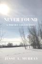 Never Found - Preview