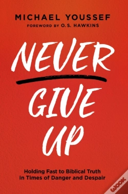 Capa do artigo Never Give Up