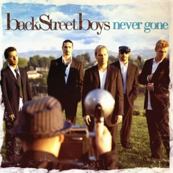 Capa do artigo Never Gone - CD