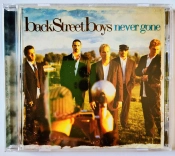 Capa do artigo Never Gone - CD