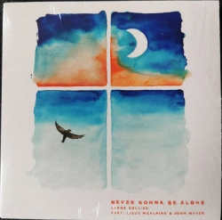 Capa do artigo Never Gonna Be Alone - Vinil