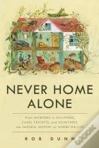 Never Home Alone